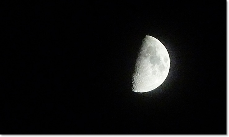 mond